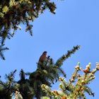 Besuch auf dem Campingplatz