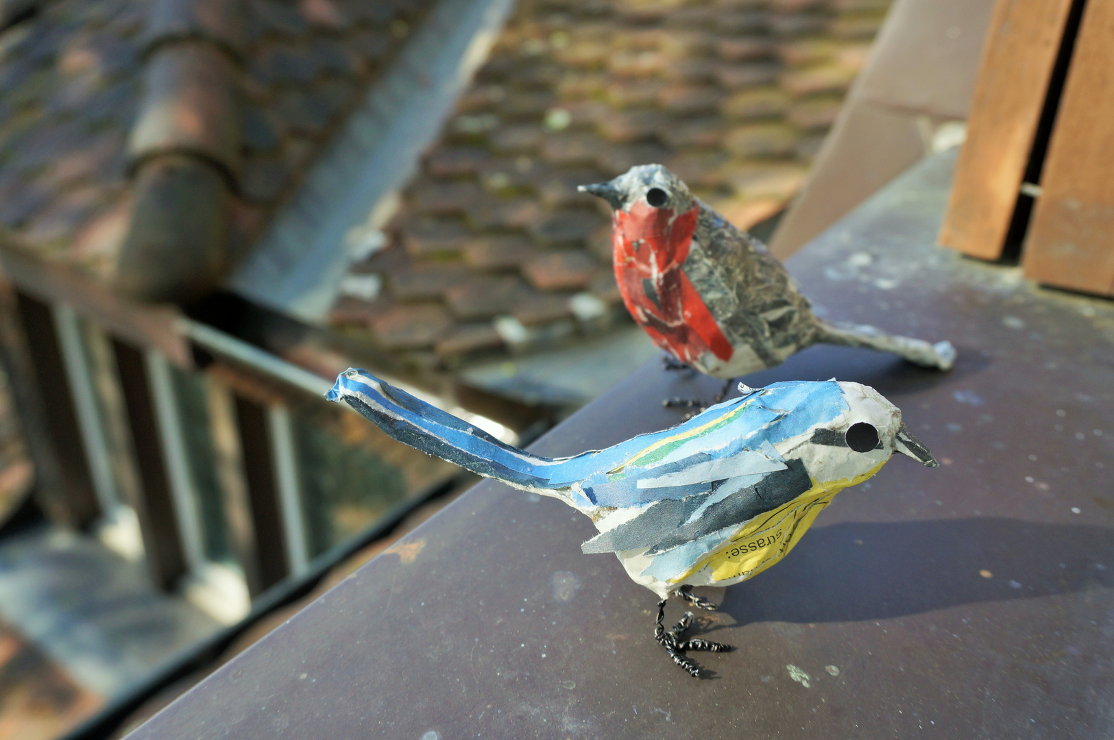 Besuch auf dem Fensterbrett