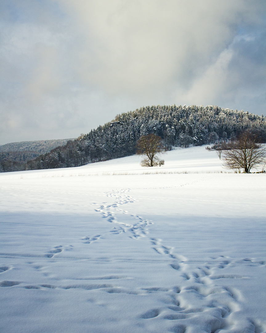 Besuch auf dem Pfaffenstein im Winter