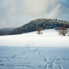 Besuch auf dem Pfaffenstein im Winter