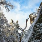 Besuch auf dem Pfaffenstein im Winter