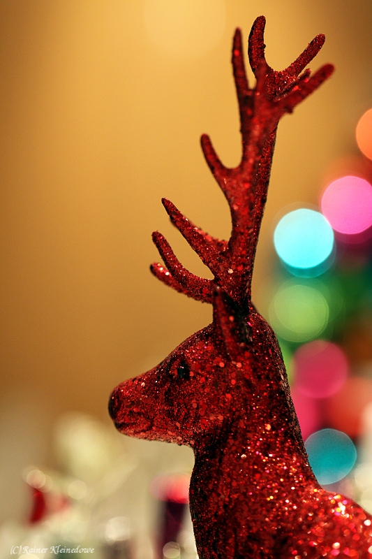 Besuch auf dem Weihnachtsmarkt in Stade