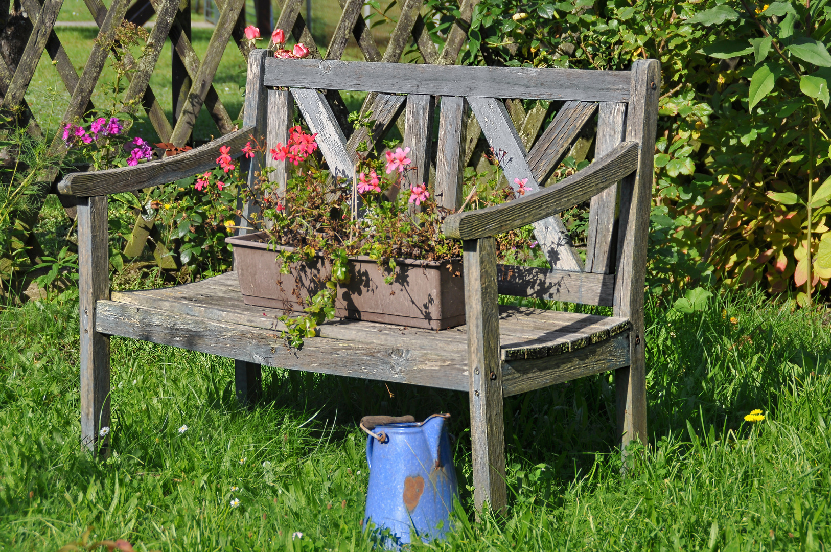 Besuch auf der Gartenbank (I)