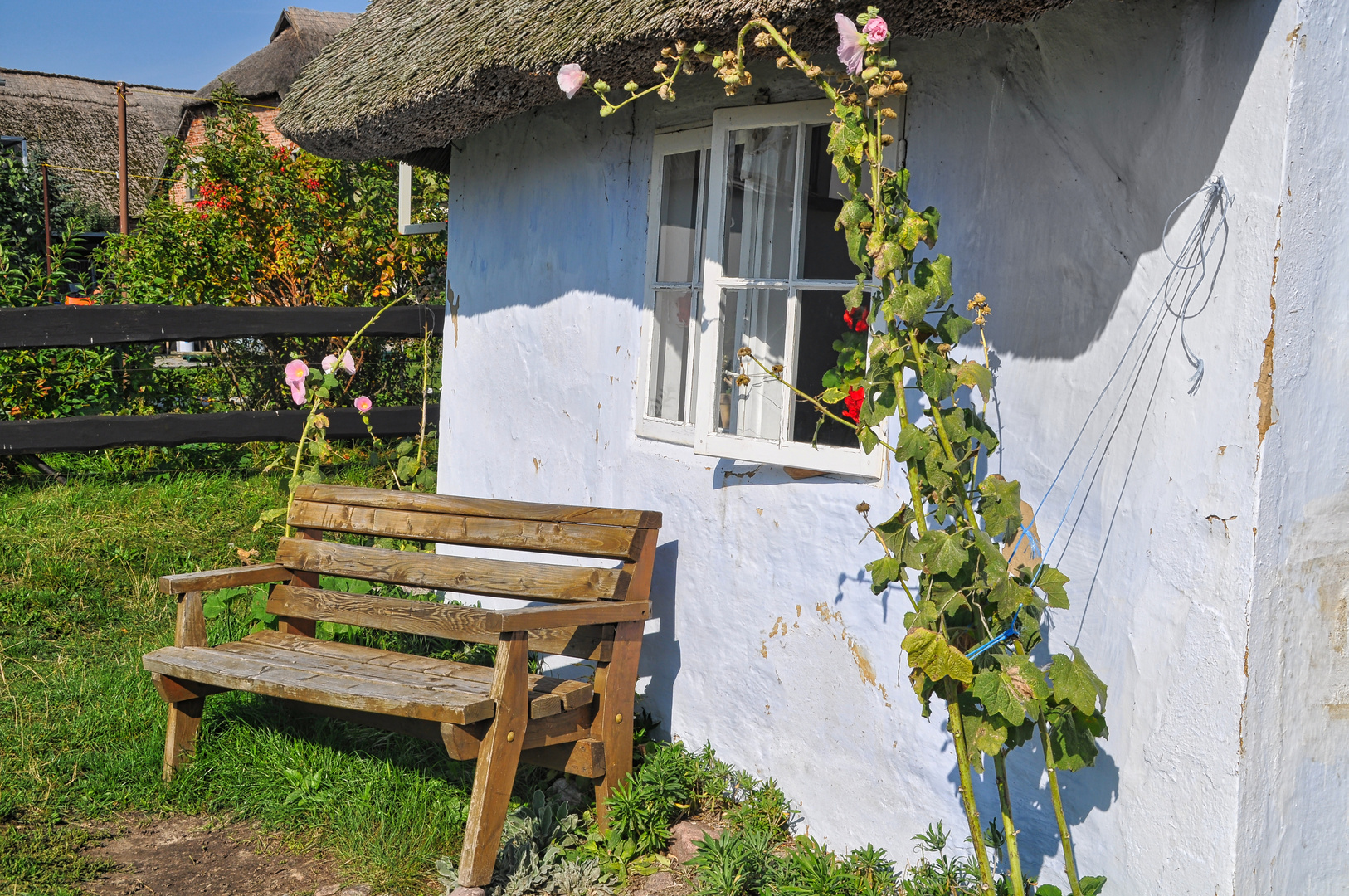 Besuch auf der Gartenbank (II)