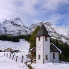 Besuch auf der Kührointalm 