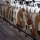 Besuch auf der Sedov (3)