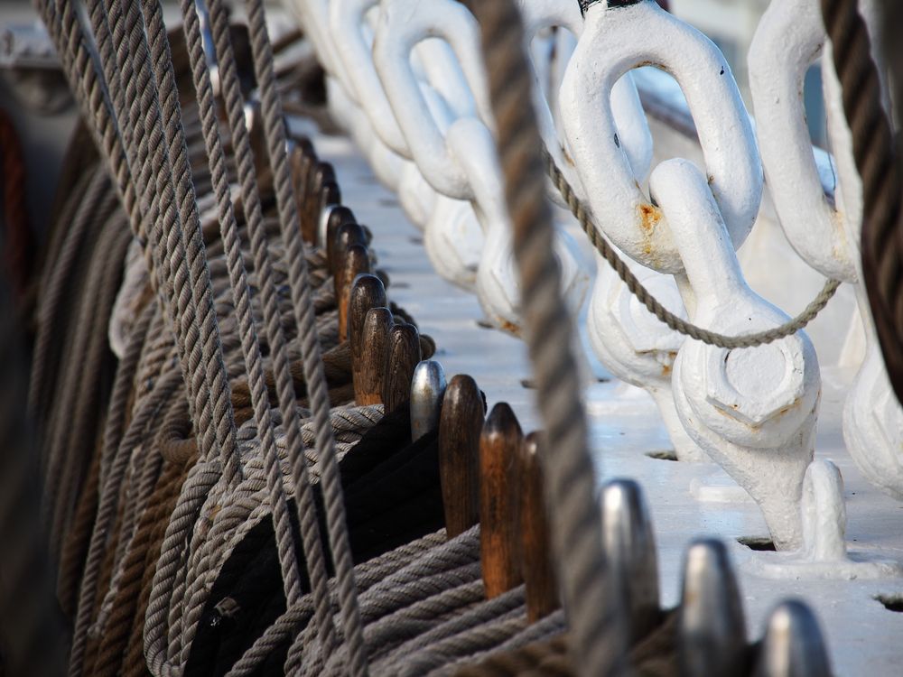 Besuch auf der Sedov (6)