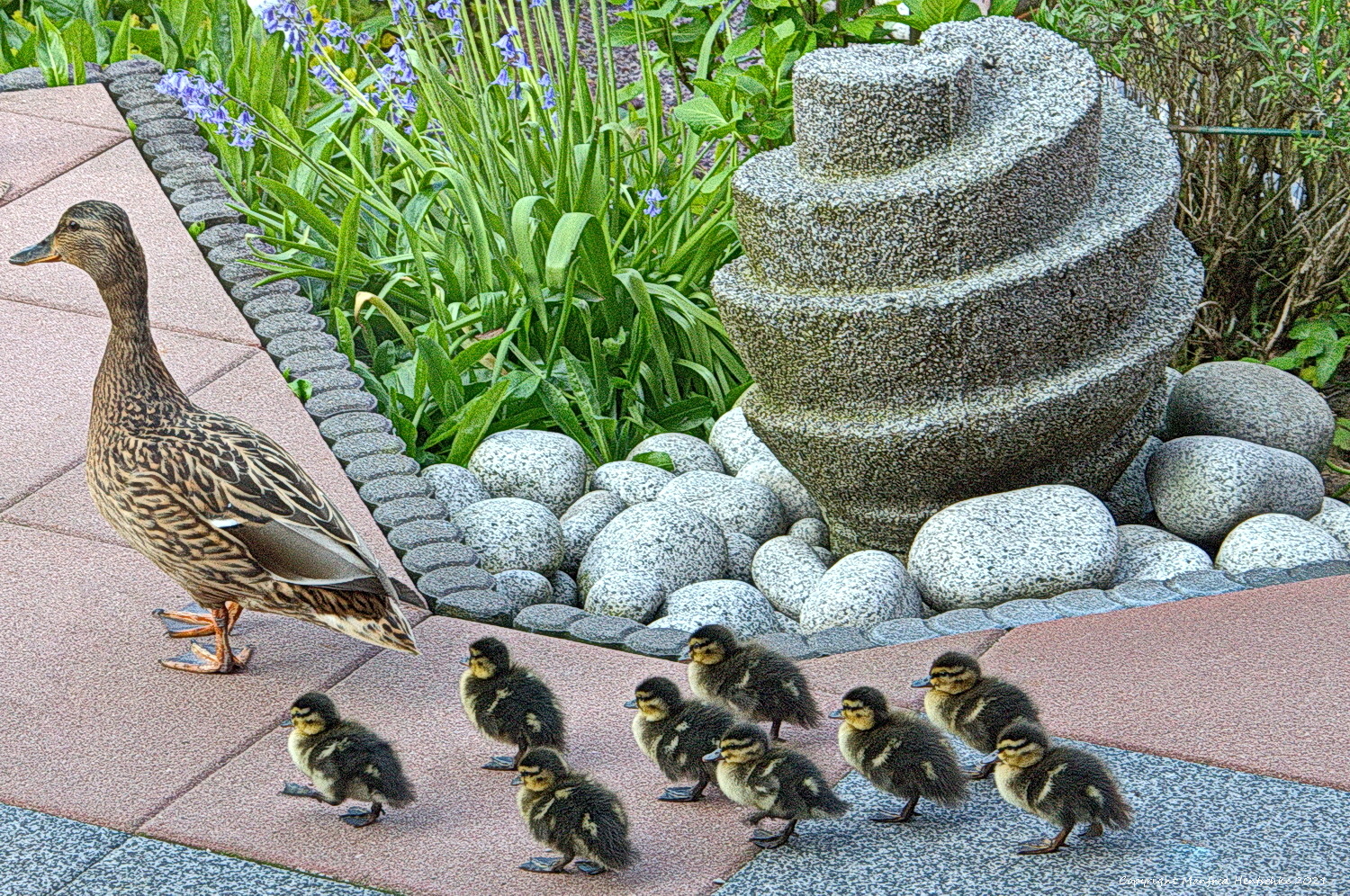 Besuch auf der Terrasse