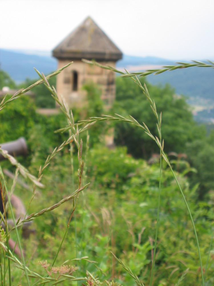 Besuch auf der Wartburg