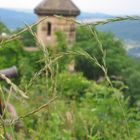 Besuch auf der Wartburg