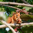 Besuch aus der Nachbarschaft