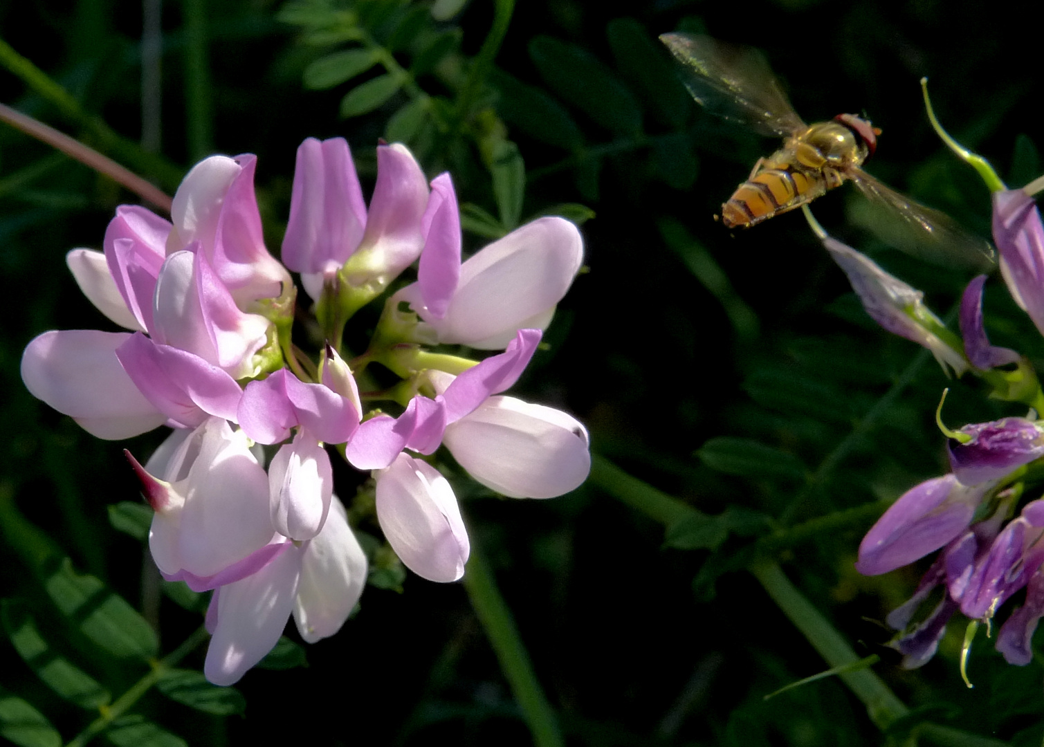 Besuch beendet...