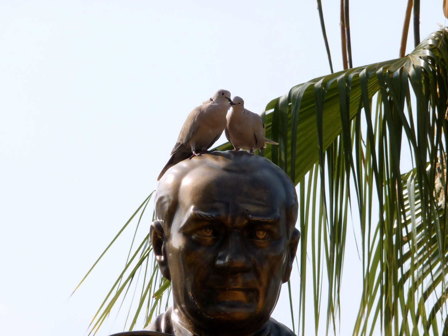 Besuch bei Atatürk in Dalyan