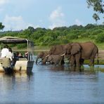 Besuch bei den Elefanten am Chobe River. Botswana 2018