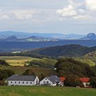 Besuch bei den Friedenslinden und der Lutherlinde...