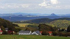 Besuch bei den Friedenslinden und der Lutherlinde...