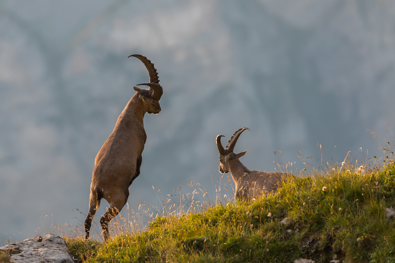 Besuch bei den jungen Wilden