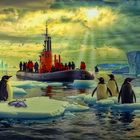 Besuch bei den Pinguinen in der Antarktis
