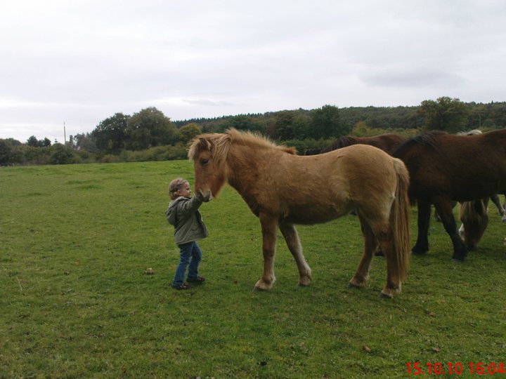 Besuch bei den Youngsters