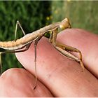 Besuch bei der Gartenarbeit.