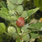 Besuch bei einer Schnecke