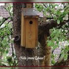 Besuch bei Nachbar Vogel.