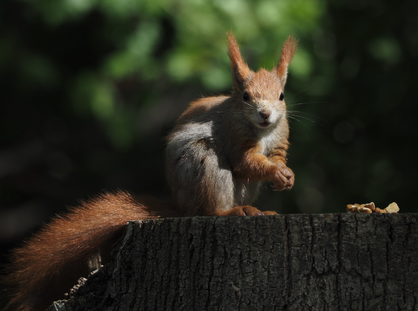 Besuch bei Nusper