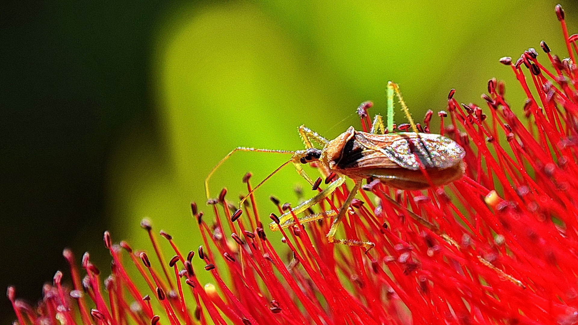 Besuch beim Flaschenputzer