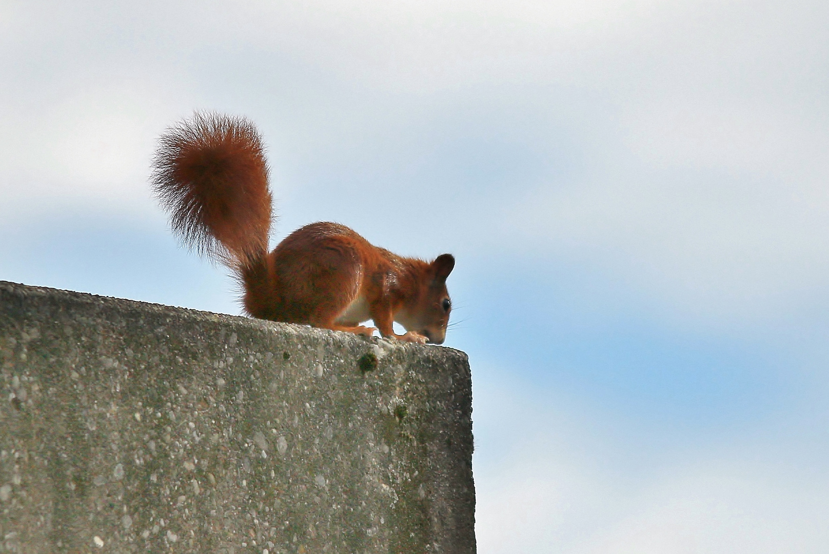 Besuch beim Nachbarn