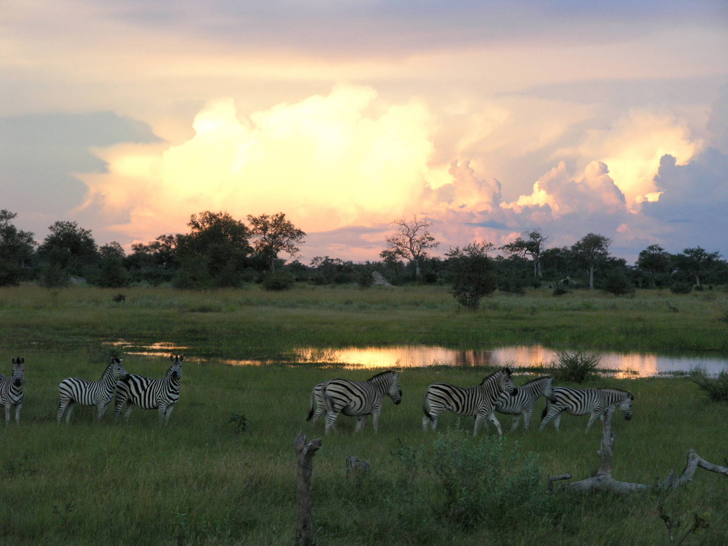 Besuch beim Sundowner