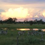 Besuch beim Sundowner