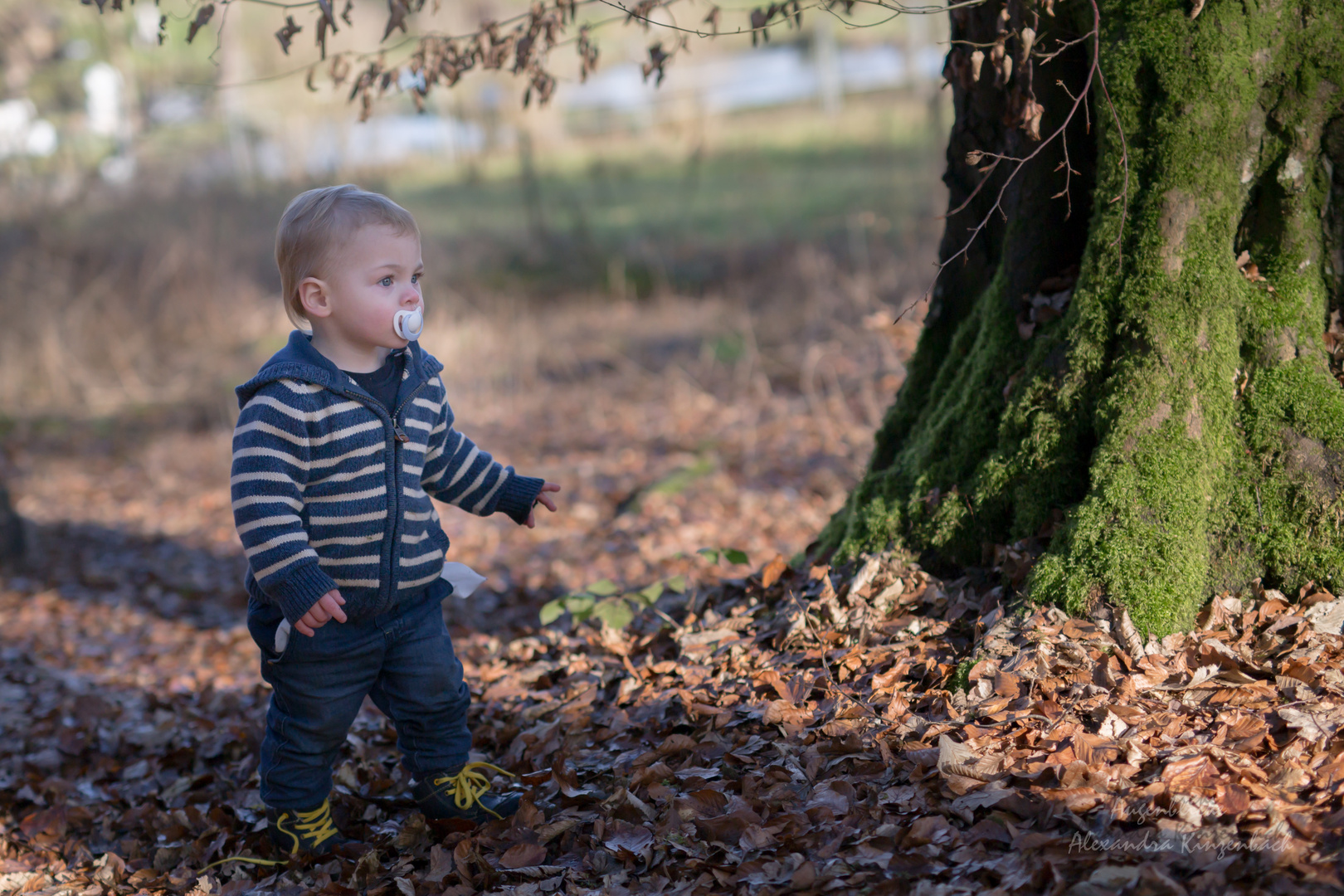 besuch beim waldgeist