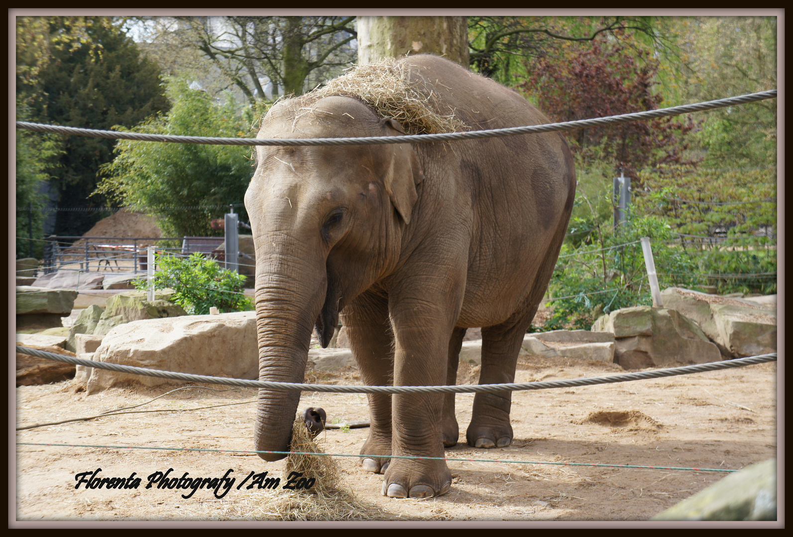 Besuch beim Zoo