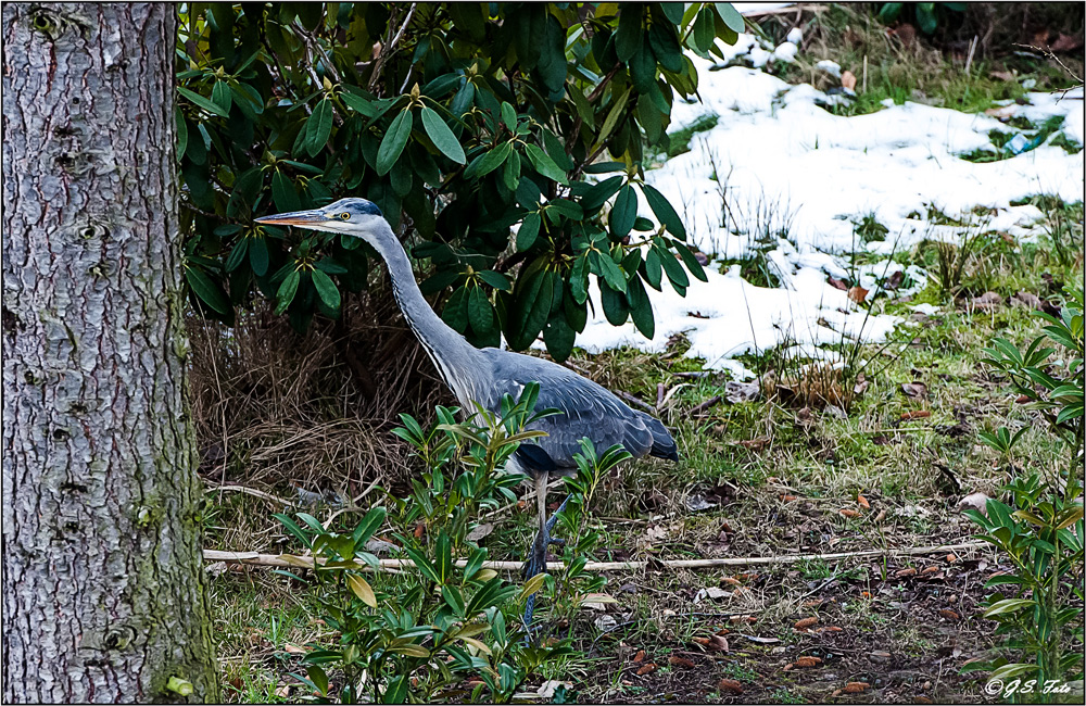 Besuch......