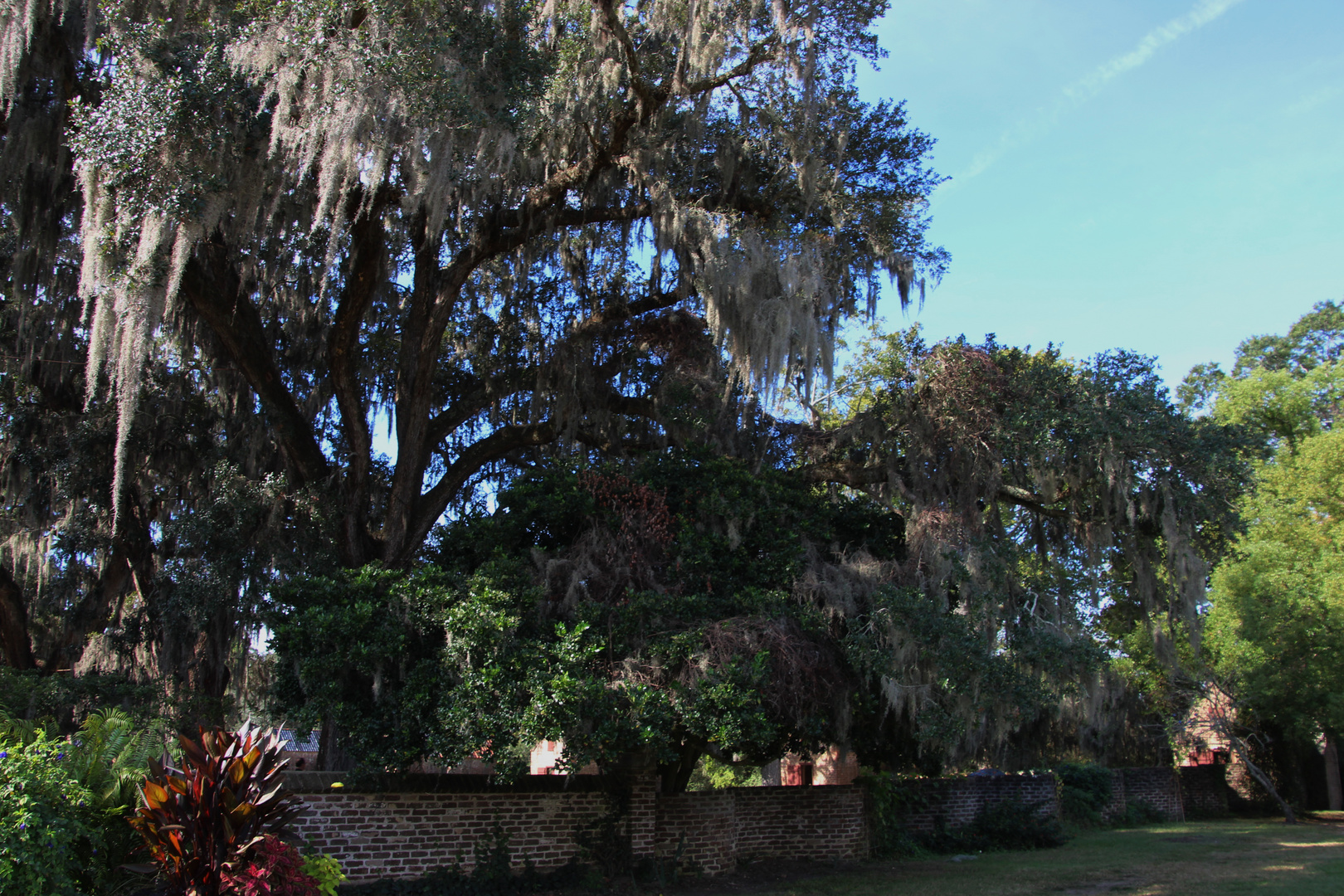 Besuch der Boone-Hall Plantage 1