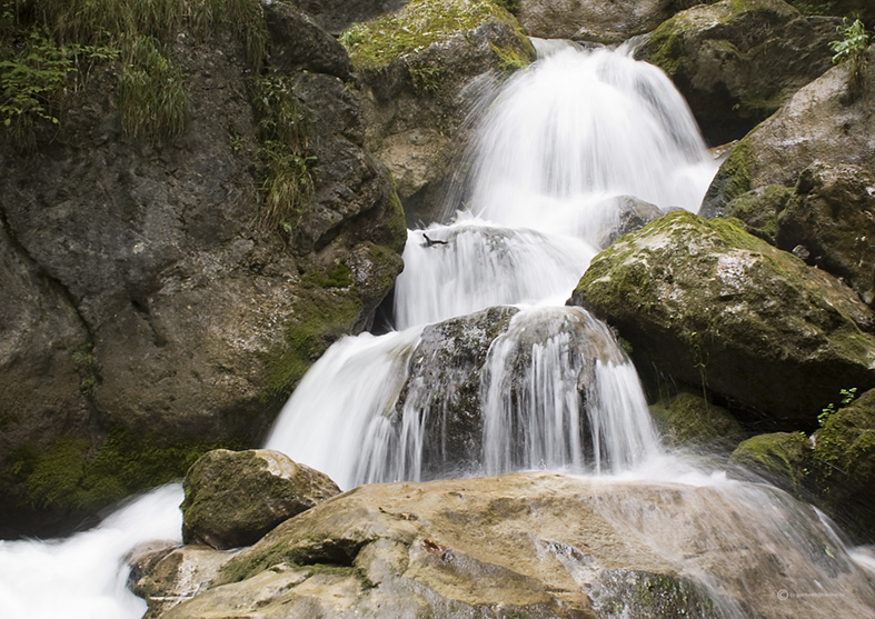 Besuch der "Mira Wasserfälle" in Pernitz-Österreich (Foto 3)