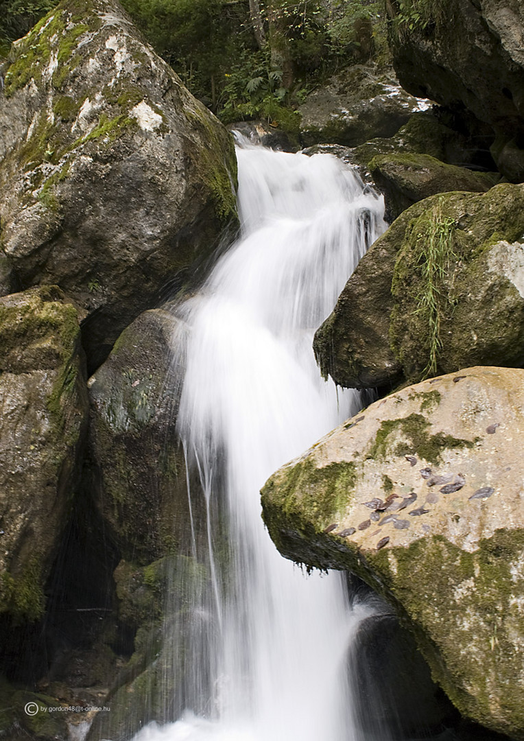 Besuch der "Mira Wasserfälle" in Pernitz-Österreich (Foto 5)