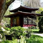 Besuch des Japanischen Gartens in Leverkusen (1)