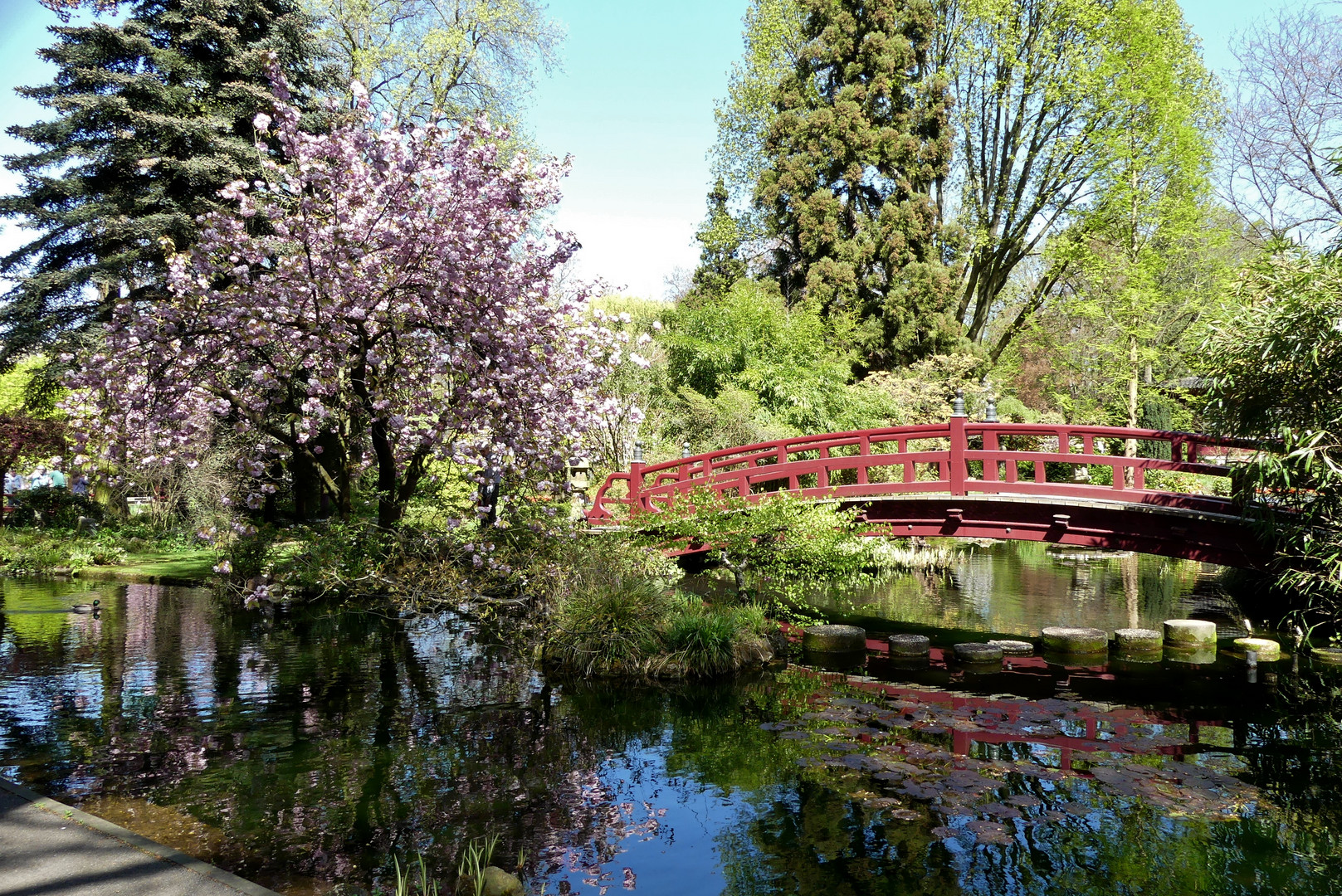 Besuch des Japanischen Gartens in Leverkusen (2)