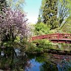 Besuch des Japanischen Gartens in Leverkusen (2)