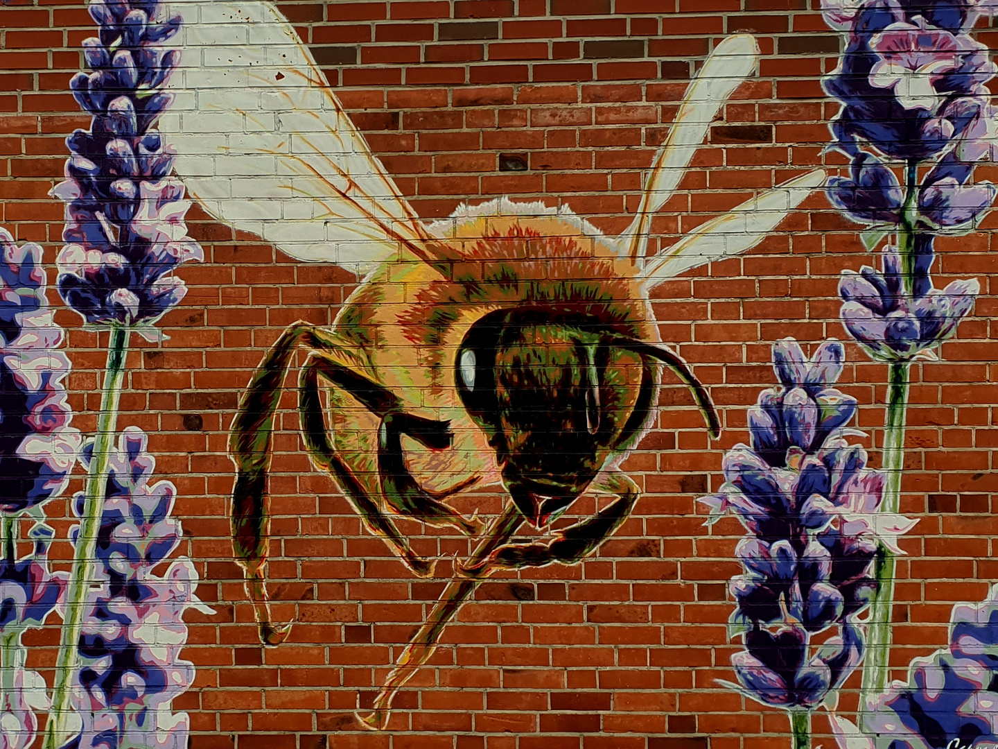 Besuch einer Biene in Worpswede 