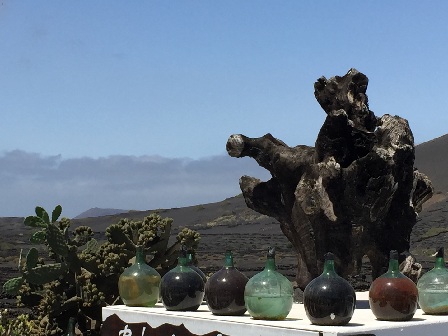 Besuch eines Weinkellers in Lanzarote 