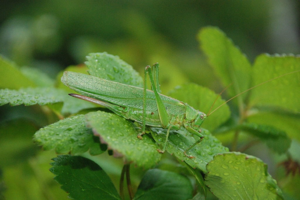 Besuch im 1. Stock