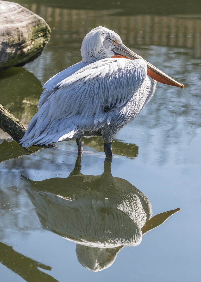 Besuch im Allwetterzoo Münster 2