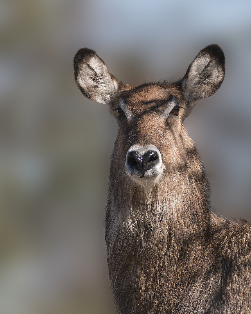 Besuch im Allwetterzoo Münster 3