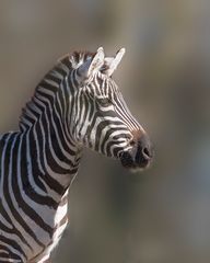 Besuch im Allwetterzoo Münster 5