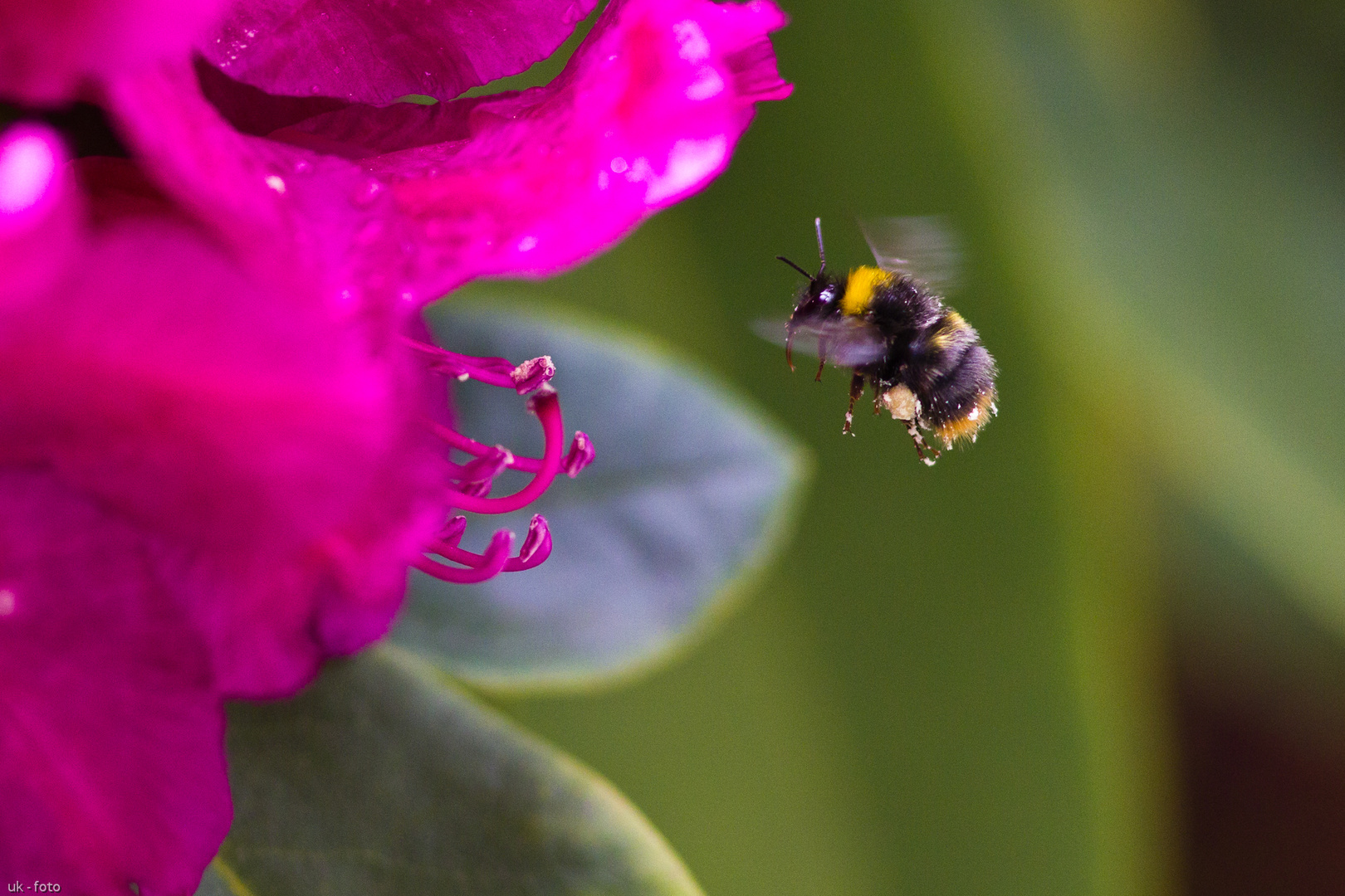 Besuch im Anflug