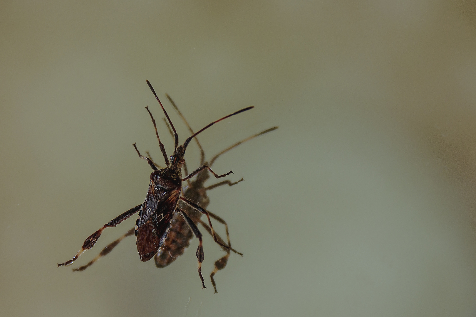 Besuch im Badezimmer 