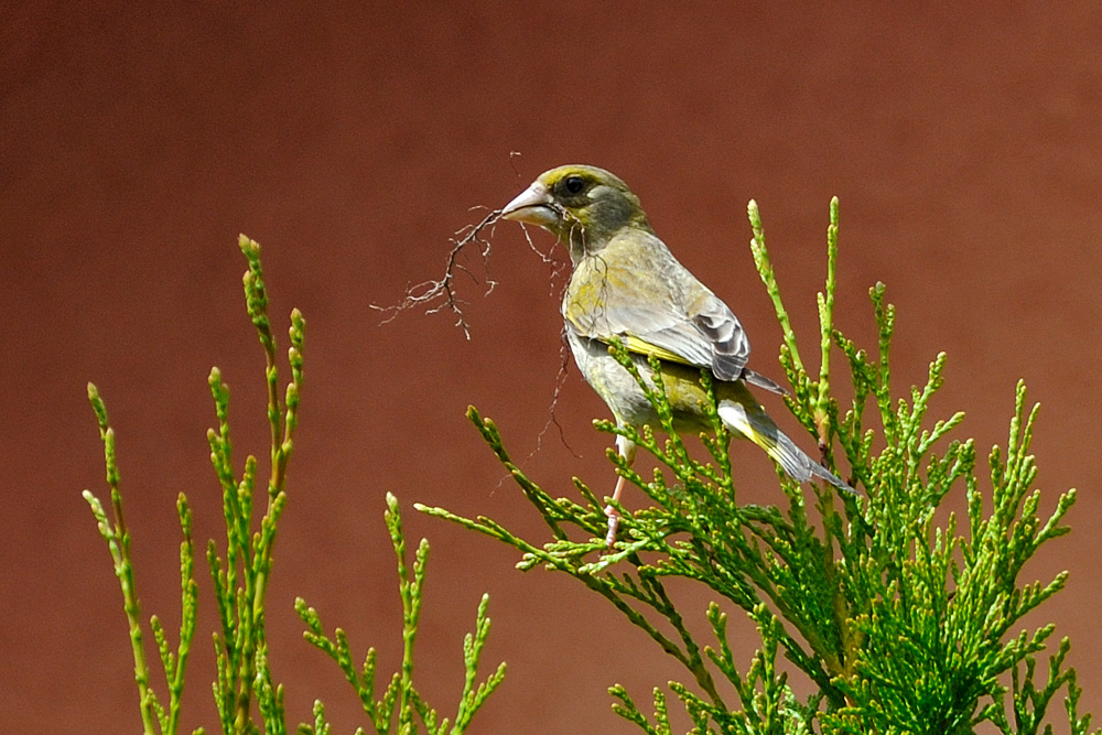 Besuch im Baumarkt