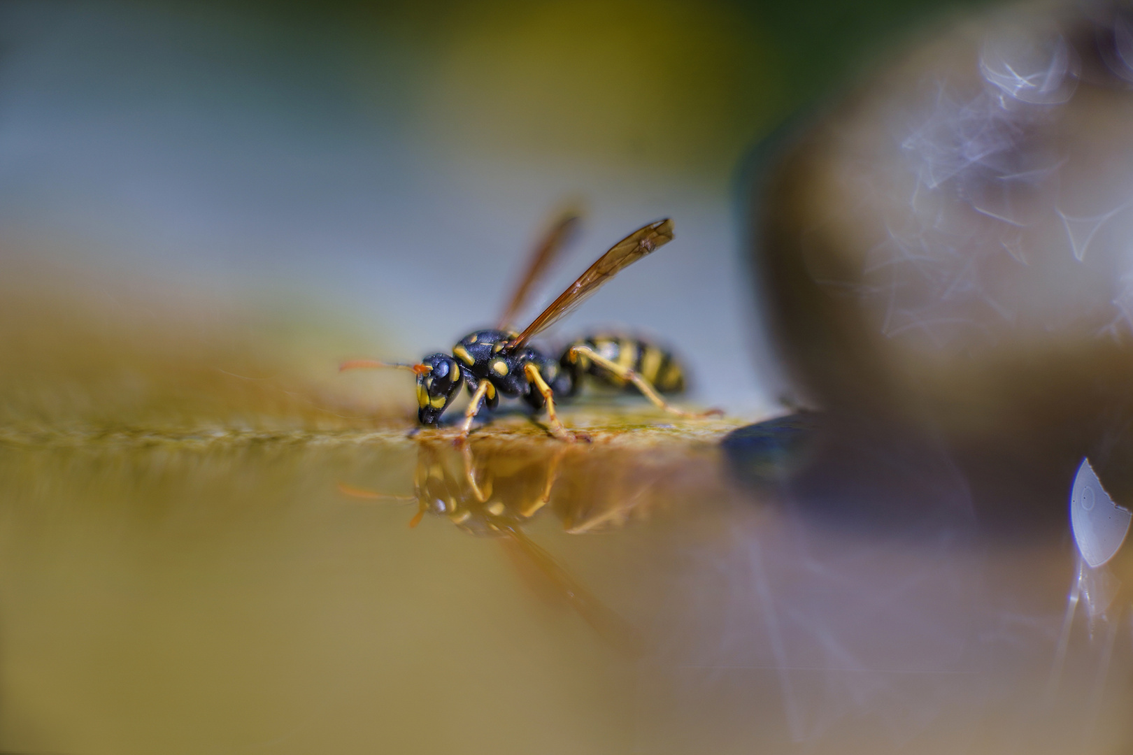 Besuch im Bienenland